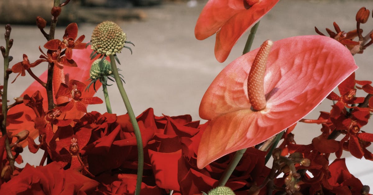 Choosing the Right Preservation Method for Your Bouquet