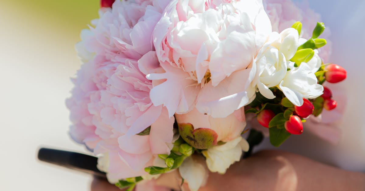 Seasonal Blooms for Stunning Flower Crowns on the Gold Coast