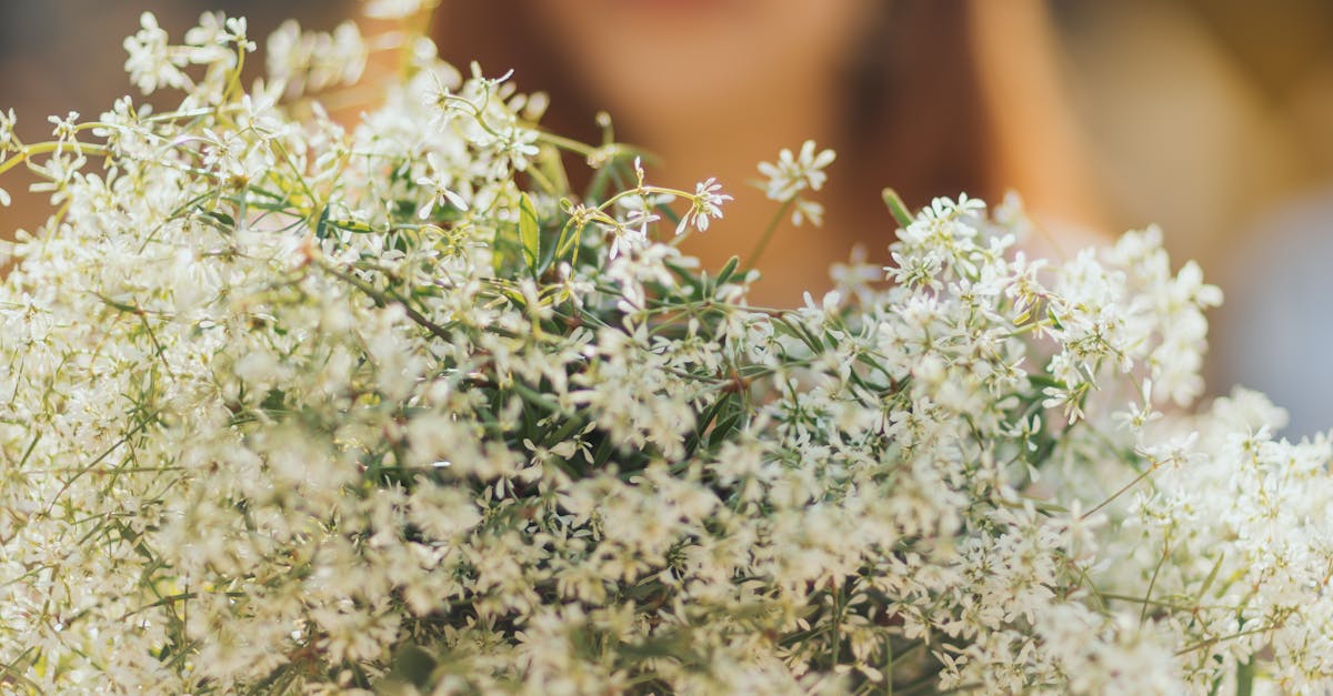 The Role of Delivery and Setup Services in a Stress-Free Wedding Day