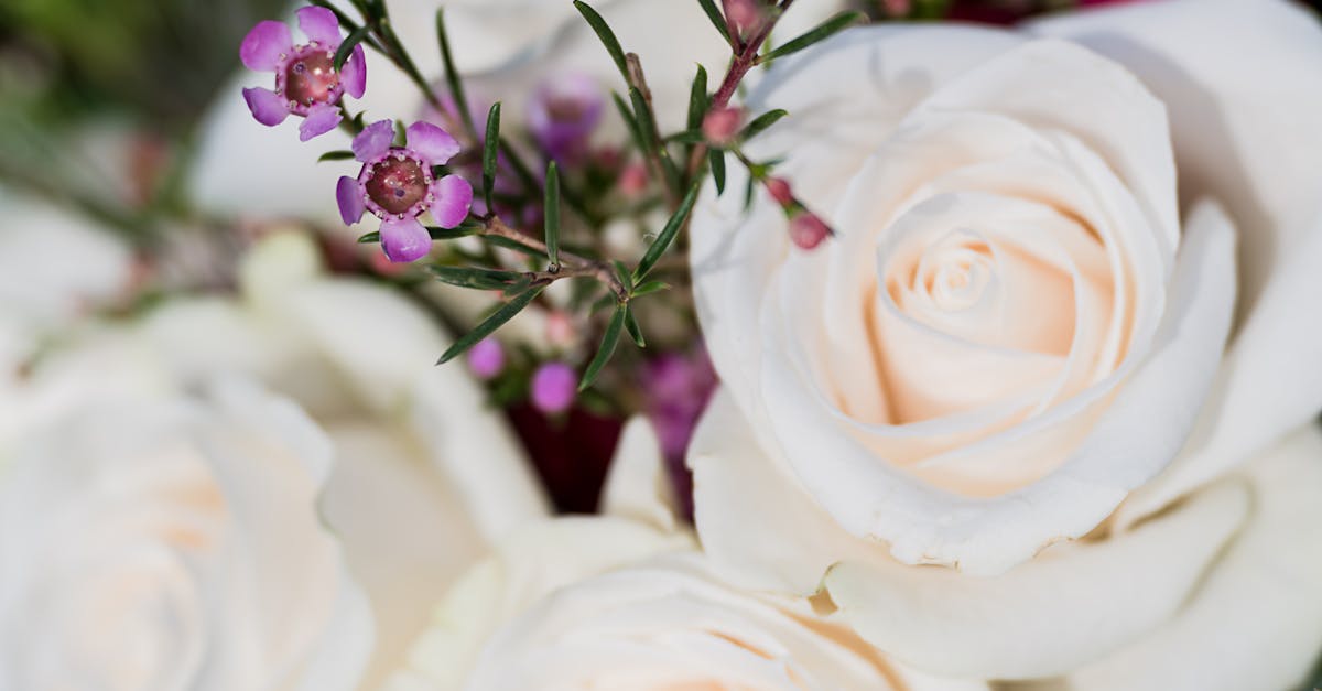 Top 5 Bold Colour Combinations for Stunning Bridal Floral Displays